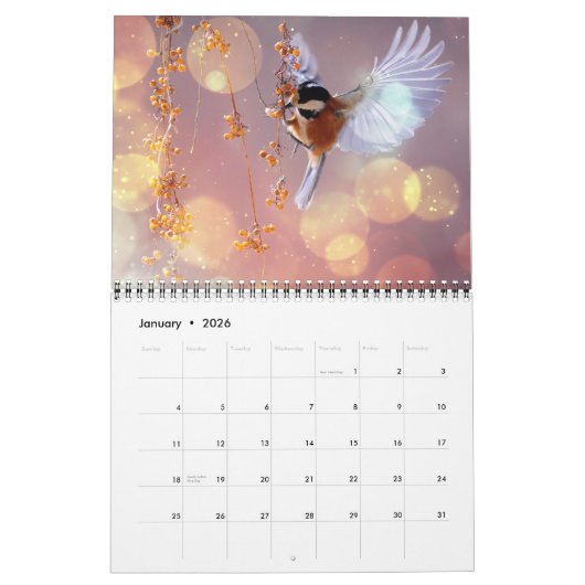 Medium Size Beautiful Birds Calendar Kalender (Jan 2026)