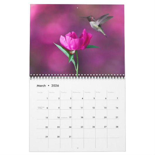 Medium Size Beautiful Birds Calendar Kalender (Mar 2026)