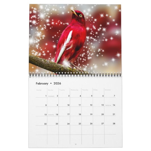 Medium Size Beautiful Birds Calendar Kalender (Feb 2026)