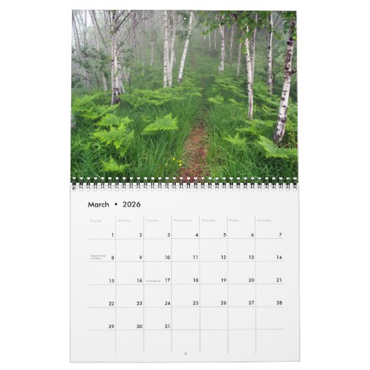 Medium Size Beautiful Moments Calendar Kalender (Mar 2026)
