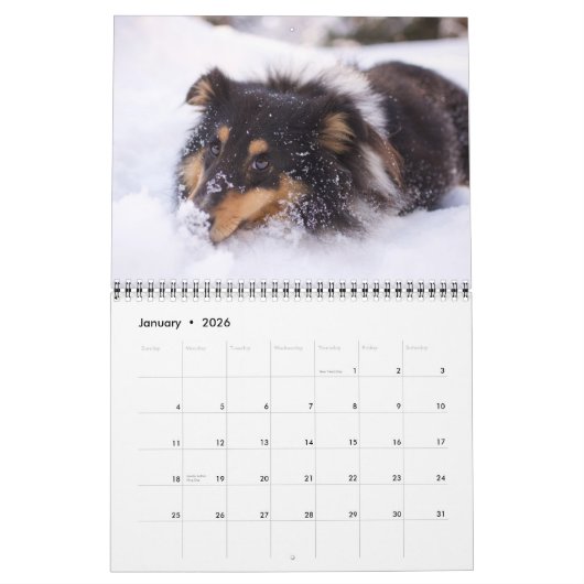 Medium Size Dog Lovers Calendar Kalender (Jan 2026)