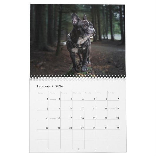 Medium Size Dog Lovers Calendar Kalender (Feb 2026)