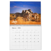 Medium Size Exotic Animals Calendar Kalender (Feb 2026)