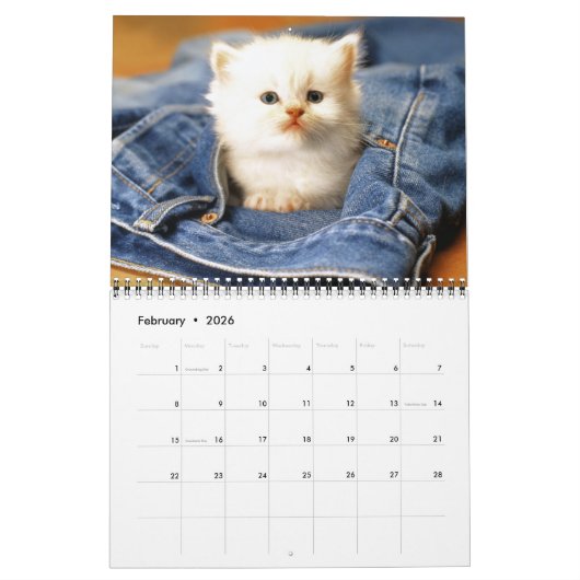 Medium Size Kittens Calendar Kalender (Feb 2026)