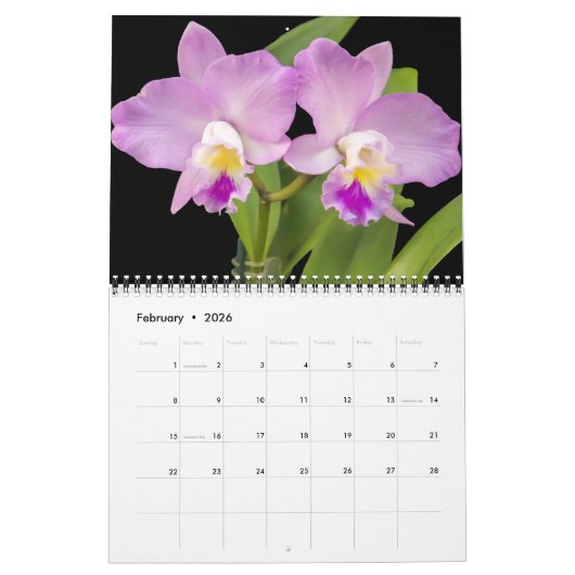 Medium Size Orchids Calendar Kalender (Feb 2026)