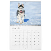 Medium Size Puppy Love Calendar Kalender (Jan 2026)