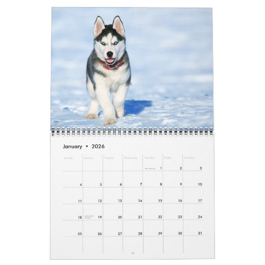 Medium Size Puppy Love Calendar Kalender (Jan 2026)