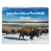 Medium Size Yellowstone Calendar-Wildlife Calendar Kalender (Hoes)