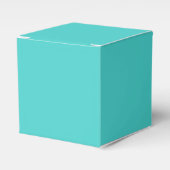 Medium Turquoise Classic Favor Box Bedankdoosjes (Voorkant Zijde)