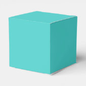 Medium Turquoise Classic Favor Box Bedankdoosjes (Achterkant)