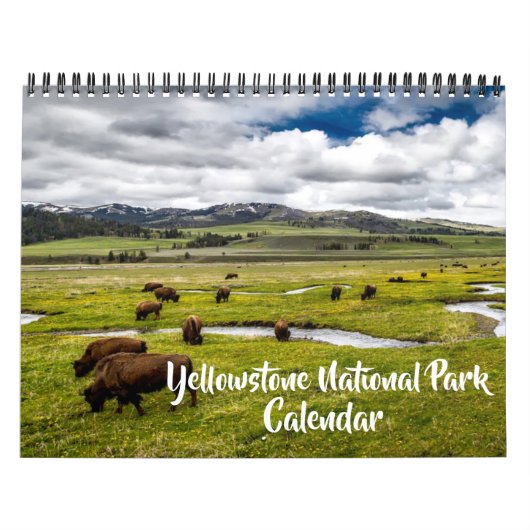 Medium Yellowstone Park Calendar Kalender (Hoes)