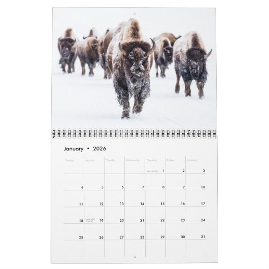 Medium Yellowstone Park Calendar Kalender (Jan 2026)