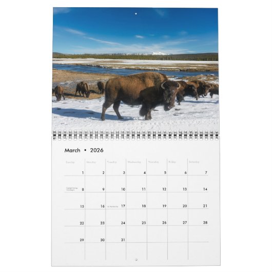 Medium Yellowstone Park Calendar Kalender (Mar 2026)