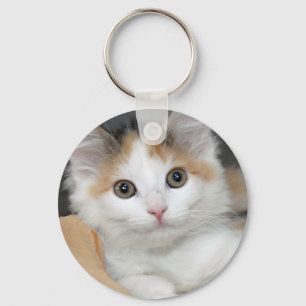 Mediumhair Calico Shelter Kitten Sleutelhanger