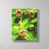 MEDLAR FRUIT CANVAS AFDRUK (Voorkant)