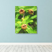 MEDLAR FRUIT CANVAS AFDRUK (Insitu (Houten vloer))
