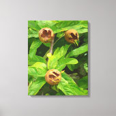 MEDLAR FRUIT CANVAS AFDRUK (Voorkant)