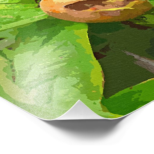 MEDLAR FRUIT FOTO AFDRUK (Hoek)