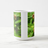 MEDLAR FRUIT KOFFIEMOK (Center)