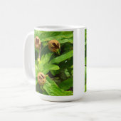 MEDLAR FRUIT KOFFIEMOK (Voorkant links)