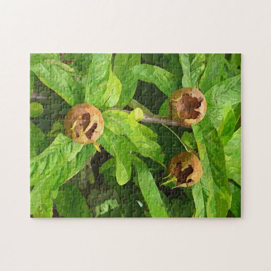 MEDLAR FRUIT LEGPUZZEL (Horizontaal)