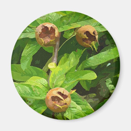 MEDLAR FRUIT MAGNEET (Voorkant)