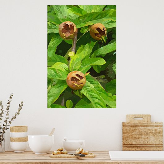 MEDLAR FRUIT POSTER (Keuken)