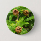 MEDLAR FRUIT RONDE BUTTON 5,7 CM (Voorkant)