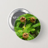 MEDLAR FRUIT RONDE BUTTON 5,7 CM (Voorkant /achterkant)