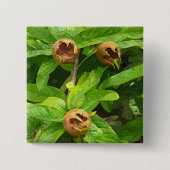 MEDLAR FRUIT VIERKANTE BUTTON 5,1 CM (Voorkant)