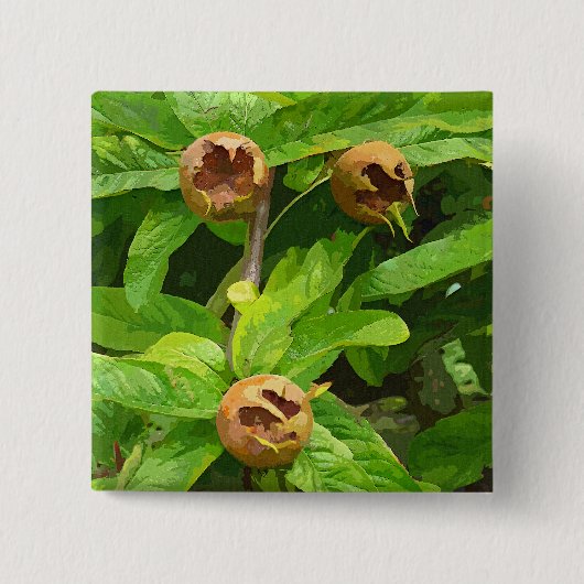 MEDLAR FRUIT VIERKANTE BUTTON 5,1 CM (Voorkant)