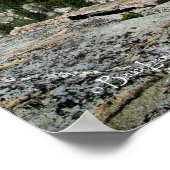 Medley Lake - Sierra Poster (Hoek)