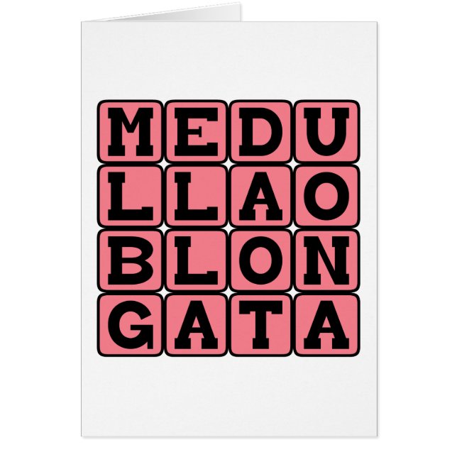 Medulla Oblongata, onderste hersenstam (Voorkant)