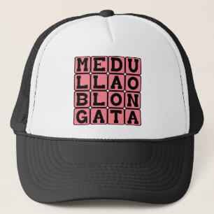 Medulla Oblongata, onderste hersenstam Trucker Pet