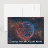 Medullanevel Briefkaart (Voorkant / Achterkant)