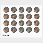 Medusa 1895 ronde sticker (Vel)