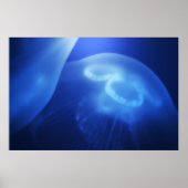 Medusa 1 poster (Voorkant)