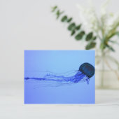 Medusa Briefkaart (Staand voorkant)