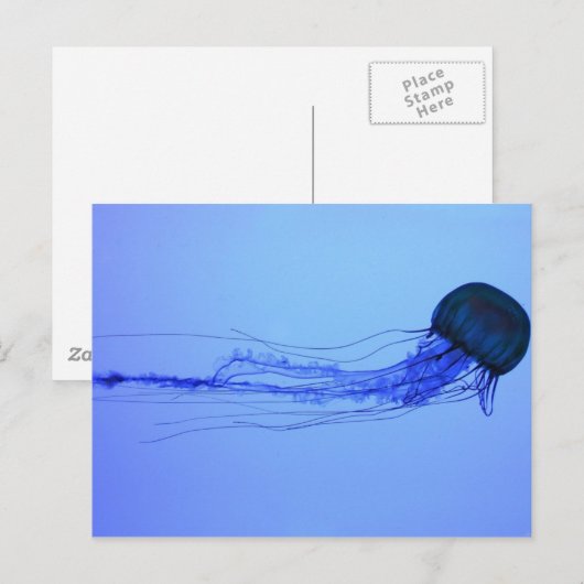 Medusa Briefkaart (Voorkant / Achterkant)