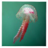 Medusa Jellyfish Tile Tegeltje (Voorkant)