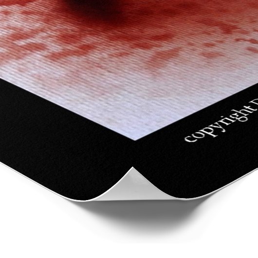 Medusa Poster (Hoek)