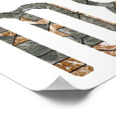 Medusa Poster (Hoek)