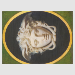 Medusa Rondanini van Christoph Unterberger Tissuepapier