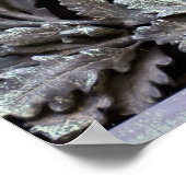 Medusa Shield of Athena Poster (Hoek)