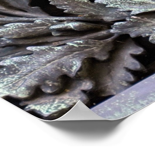 Medusa Shield of Athena Poster (Hoek)