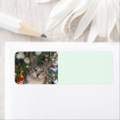 Meece Cat Merry kerstreturn Address Labels (Insitu)
