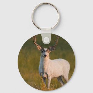 Meeker's White Buck 2 Sleutelhanger