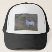 Meeker's White Deer 1 Trucker Pet (Voorkant)