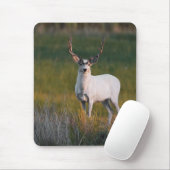Meeker's White Deer 2 Muismat (Met muis)