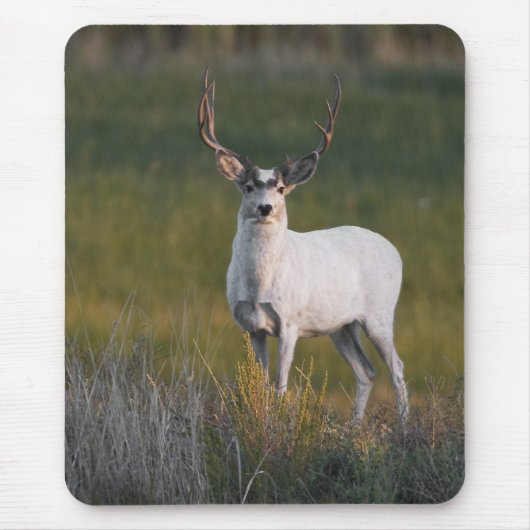 Meeker's White Deer 2 Muismat (Voorkant)